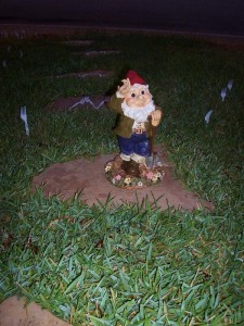 gnome