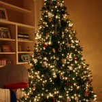 IMG_1952 IMG_1952