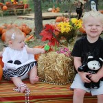 IMG_6319 IMG_6319