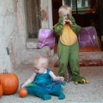IMG_6872 IMG_6872