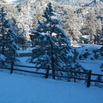 IMG_6888 IMG_6888
