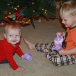 IMG_7397 IMG_7397