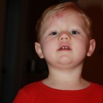 IMG_8937