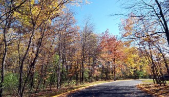 autumn drive