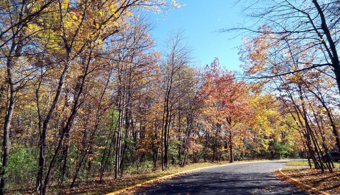 autumn drive