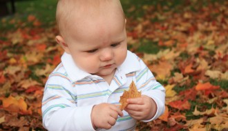 focused on the leaf